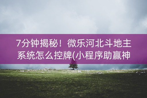 7分钟揭秘！微乐河北斗地主系统怎么控牌(小程序助赢神器)