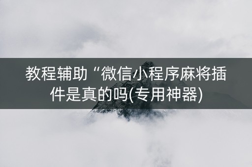 教程辅助“微信小程序麻将插件是真的吗(专用神器)