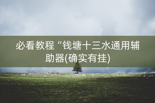 必看教程“钱塘十三水通用辅助器(确实有挂)