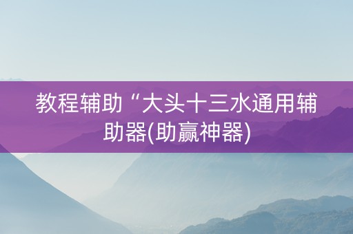 教程辅助“大头十三水通用辅助器(助赢神器)