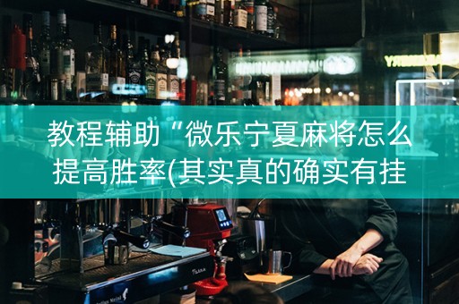 教程辅助“微乐宁夏麻将怎么提高胜率(其实真的确实有挂)