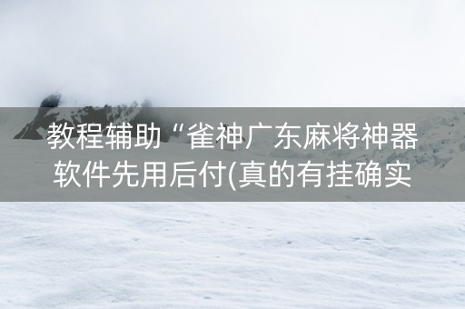 教程辅助“雀神广东麻将神器软件先用后付(真的有挂确实有挂)