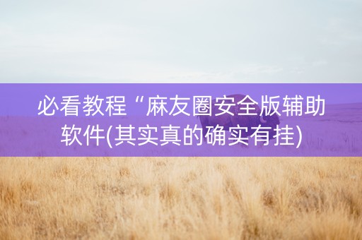 必看教程“麻友圈安全版辅助软件(其实真的确实有挂)