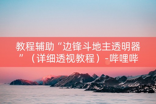 教程辅助“边锋斗地主透明器”（详细透视教程）-哔哩哔哩