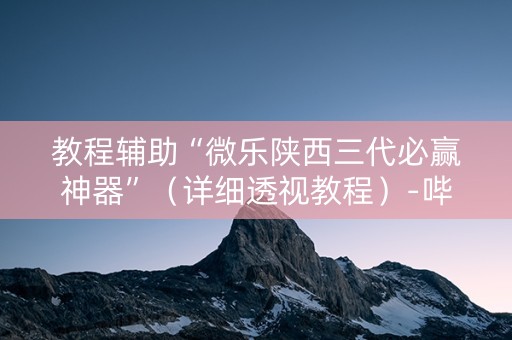 教程辅助“微乐陕西三代必赢神器”（详细透视教程）-哔哩哔哩