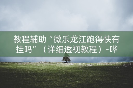 教程辅助“微乐龙江跑得快有挂吗”（详细透视教程）-哔哩哔哩