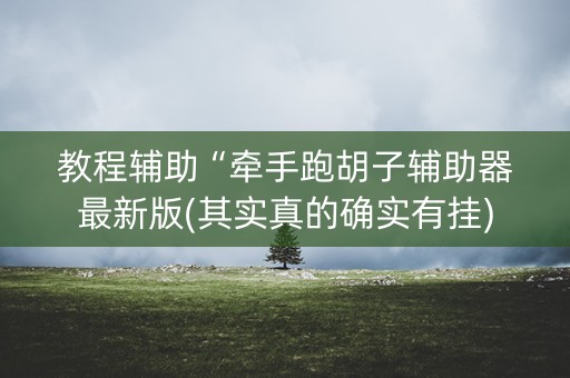 教程辅助“牵手跑胡子辅助器最新版(其实真的确实有挂)