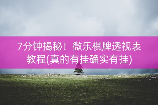 7分钟揭秘！微乐棋牌透视表教程(真的有挂确实有挂)