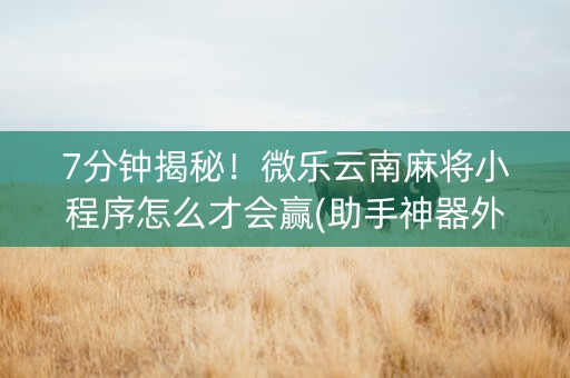 7分钟揭秘！微乐云南麻将小程序怎么才会赢(助手神器外辅工具)