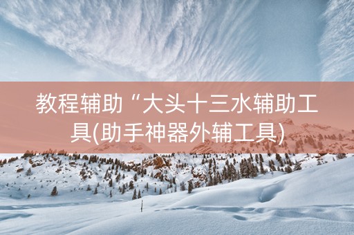 教程辅助“大头十三水辅助工具(助手神器外辅工具)