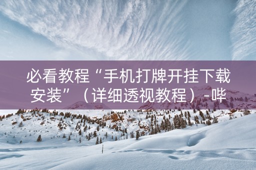 必看教程“手机打牌开挂下载安装”（详细透视教程）-哔哩哔哩