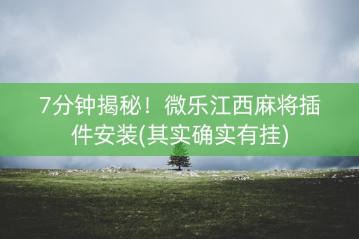 7分钟揭秘！微乐江西麻将插件安装(其实确实有挂)