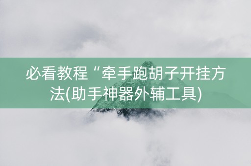 必看教程“牵手跑胡子开挂方法(助手神器外辅工具)