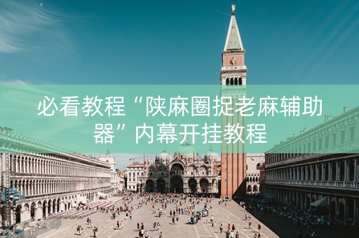必看教程“陕麻圈捉老麻辅助器”内幕开挂教程