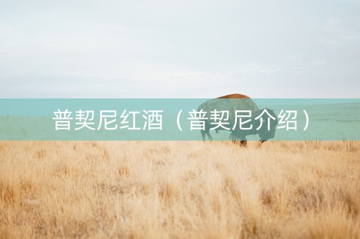 普契尼红酒（普契尼介绍）