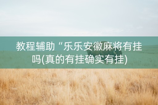 教程辅助“乐乐安徽麻将有挂吗(真的有挂确实有挂)