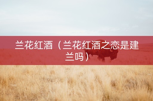 兰花红酒（兰花红酒之恋是建兰吗）