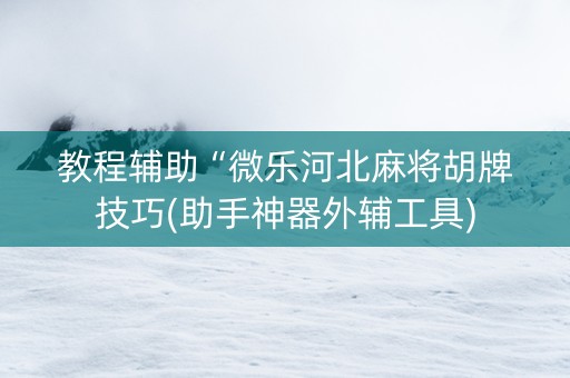 教程辅助“微乐河北麻将胡牌技巧(助手神器外辅工具)