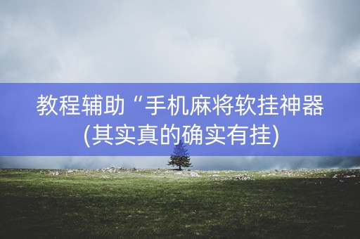 教程辅助“手机麻将软挂神器(其实真的确实有挂)