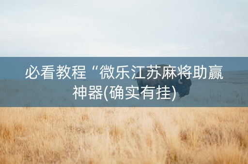 必看教程“微乐江苏麻将助赢神器(确实有挂)