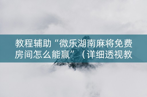 教程辅助“微乐湖南麻将免费房间怎么能赢”（详细透视教程）-哔哩哔哩