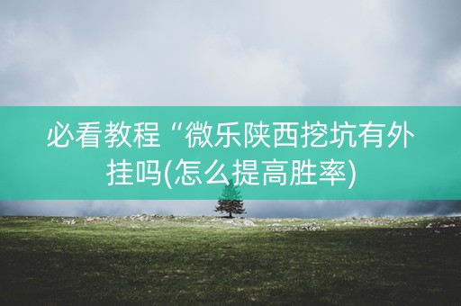 必看教程“微乐陕西挖坑有外挂吗(怎么提高胜率)