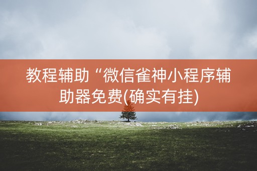 教程辅助“微信雀神小程序辅助器免费(确实有挂)