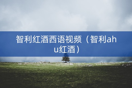 智利红酒西语视频（智利ahu红酒）