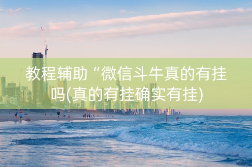 教程辅助“微信斗牛真的有挂吗(真的有挂确实有挂)