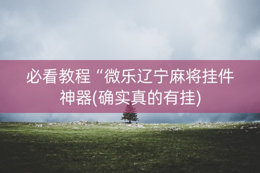 必看教程“微乐辽宁麻将挂件神器(确实真的有挂)