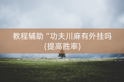 教程辅助“功夫川麻有外挂吗(提高胜率)