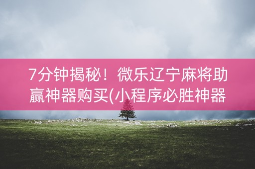 7分钟揭秘！微乐辽宁麻将助赢神器购买(小程序必胜神器)