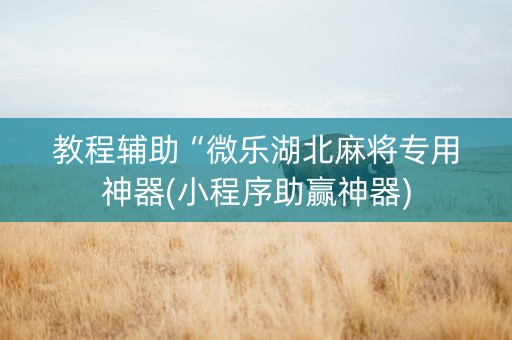 教程辅助“微乐湖北麻将专用神器(小程序助赢神器)