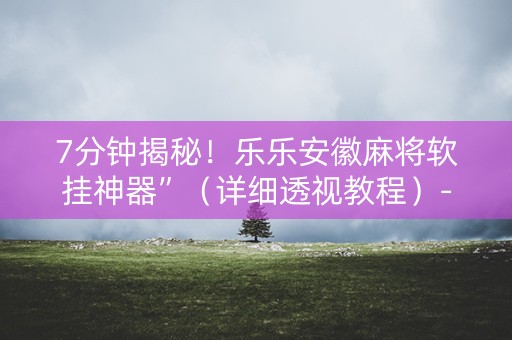 7分钟揭秘！乐乐安徽麻将软挂神器”（详细透视教程）-哔哩哔哩