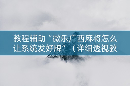 教程辅助“微乐广西麻将怎么让系统发好牌”（详细透视教程）-哔哩哔哩