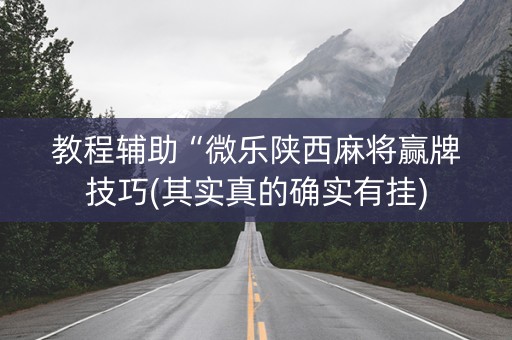 教程辅助“微乐陕西麻将赢牌技巧(其实真的确实有挂)