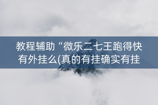 教程辅助“微乐二七王跑得快有外挂么(真的有挂确实有挂)