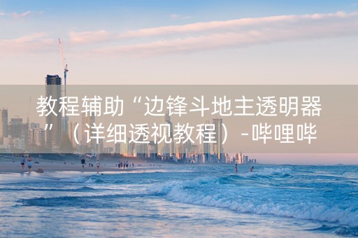 教程辅助“边锋斗地主透明器”（详细透视教程）-哔哩哔哩