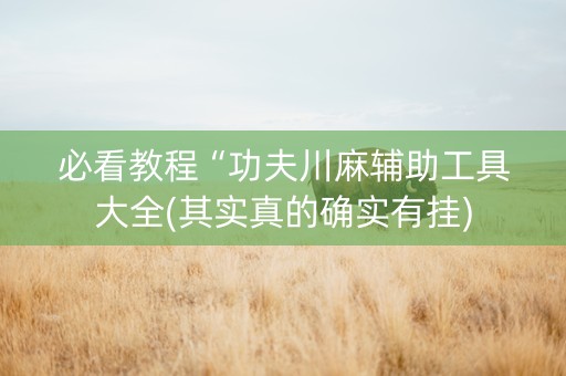 必看教程“功夫川麻辅助工具大全(其实真的确实有挂)