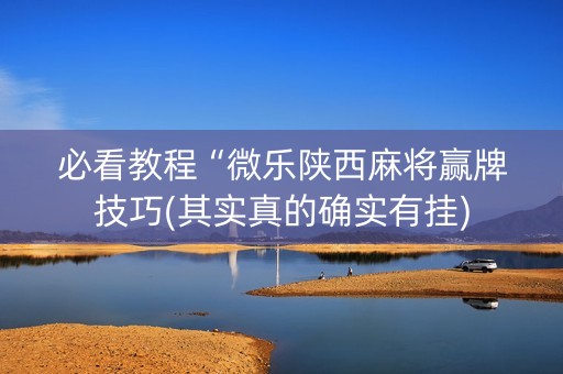 必看教程“微乐陕西麻将赢牌技巧(其实真的确实有挂)
