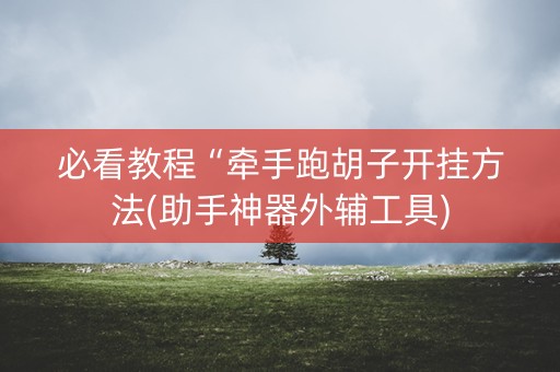 必看教程“牵手跑胡子开挂方法(助手神器外辅工具)