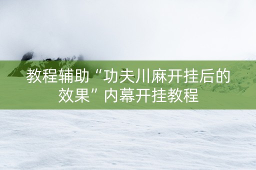 教程辅助“功夫川麻开挂后的效果”内幕开挂教程
