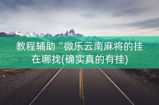 教程辅助“微乐云南麻将的挂在哪找(确实真的有挂)