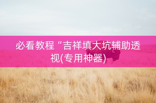 必看教程“吉祥填大坑辅助透视(专用神器)