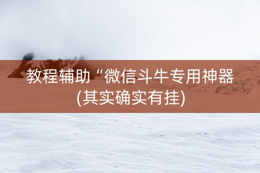 教程辅助“微信斗牛专用神器(其实确实有挂)