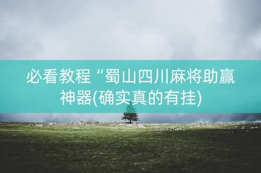 必看教程“蜀山四川麻将助赢神器(确实真的有挂)