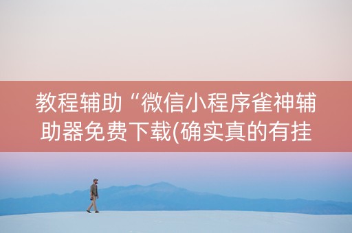教程辅助“微信小程序雀神辅助器免费下载(确实真的有挂)