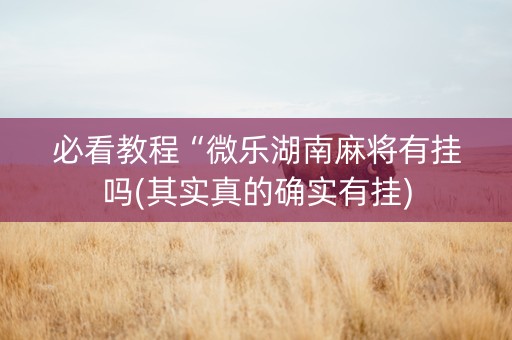 必看教程“微乐湖南麻将有挂吗(其实真的确实有挂)