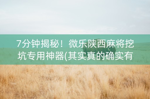 7分钟揭秘！微乐陕西麻将挖坑专用神器(其实真的确实有挂)