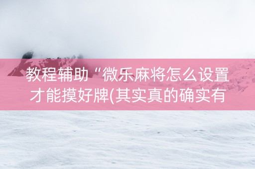 教程辅助“微乐麻将怎么设置才能摸好牌(其实真的确实有挂)